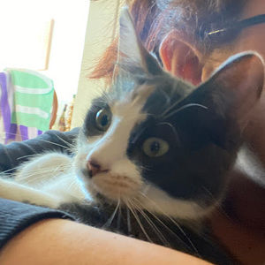 Meet your Posher, Ang